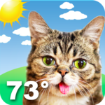 Weather BUB for PC