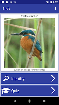 Bird Identifier for PC screenshot 1