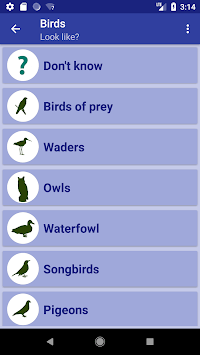Bird Identifier for PC screenshot 2