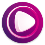 Wiseplay for PC