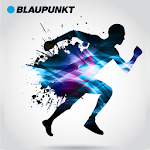 Blaupunkt Fit for PC