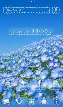 Beautiful Wallpaper Nemophila Field Theme for PC screenshot 1