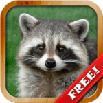 Animals for Kids, Planet Earth Animal Sounds APK