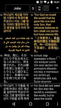 Lifove Bible for PC screenshot 1