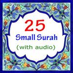 25 Small Surah of The Quran APK