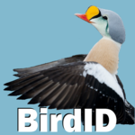 BirdID APK