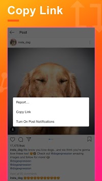 Repost & Download for Instagram for PC screenshot 1
