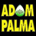 Adam Palma - Guitar Lessons APK