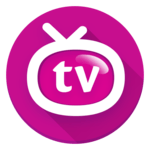 Orion TV for PC