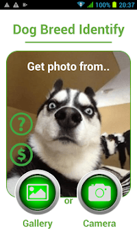 Dog Breed Auto Identify Photo for PC screenshot 1