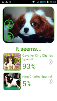 Dog Breed Auto Identify Photo for PC screenshot 2