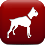 Dog Breed Auto Identify Photo APK