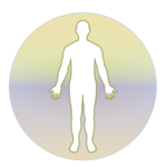 Homeopathic Repertorium APK
