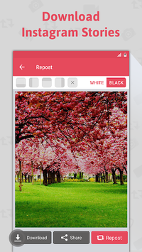 Story Saver for PC screenshot 2