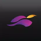 Robinhood for PC