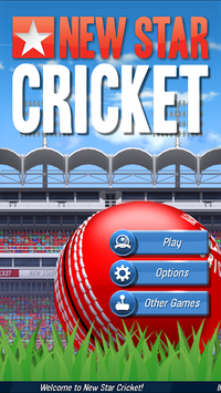 New Star Cricket for PC screenshot 1