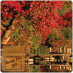 lake autumn lwp for PC