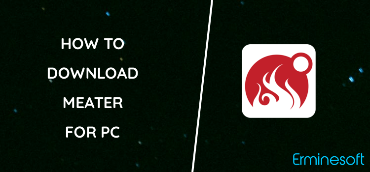 MEATER for PC screenshot