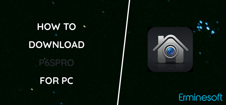 P6SPro for PC screenshot