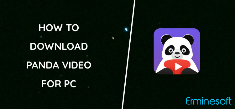 Panda Video Compressor: Resize & Compress Video for PC screenshot