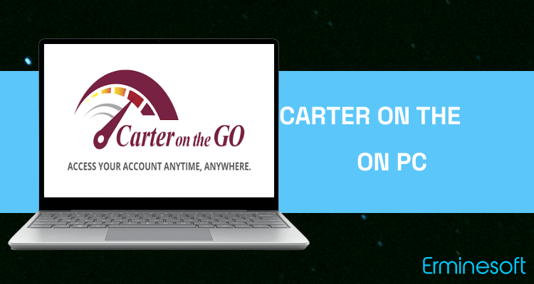 Run Carter on the Go on PC