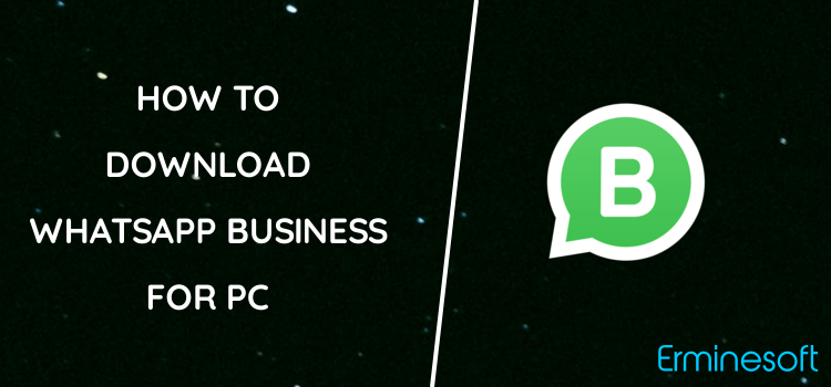 WhatsApp Business for PC screenshot